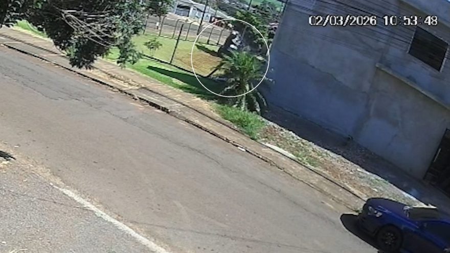 Câmera registra momento em que idoso cai de escada em residência no Bairro Floresta
