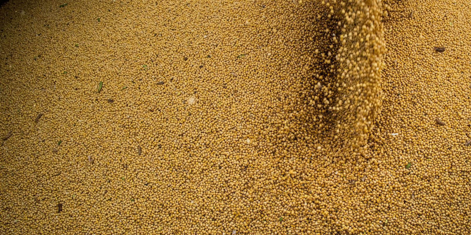 Agro cresce 11,7%, impulsiona PIB e ganha participação na economia Agro cresce 11,7%, impulsiona PIB e ganha participação na economia