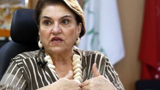 Março de luta: ações intensificam combate à violência contra a mulher