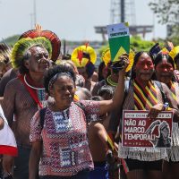 Imagem referente a Organizações denunciam propostas legislativas com ameaças ambientais