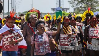 Organizações denunciam propostas legislativas com ameaças ambientais