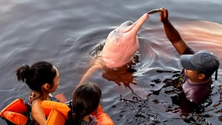 Insegurança é barreira para 62% das mulheres viajarem sozinhas