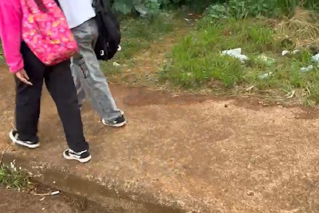 “Vai que puxa uma criança pro mato”: homem vivendo em matagal ao lado de colégio amedronta alunos e familiares no Brasília I