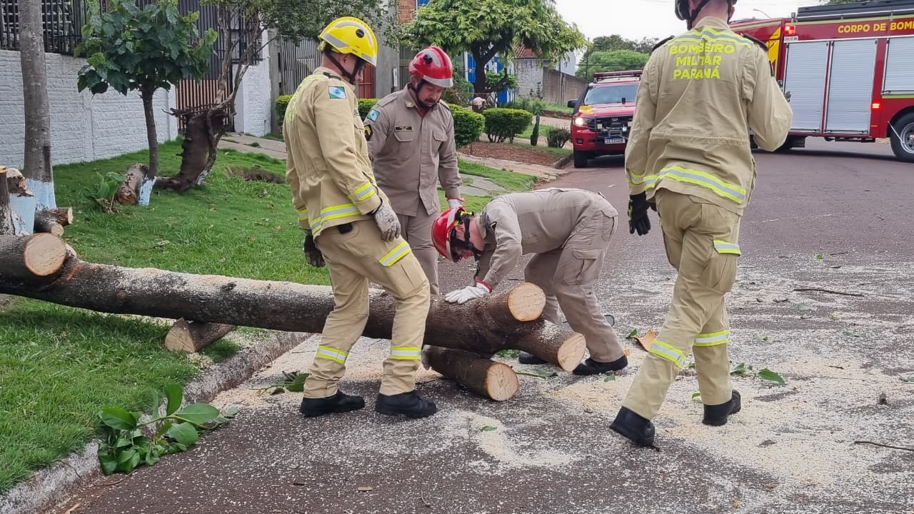 Bombeiros cortam pé de abacateiro com risco de queda no Esmeralda Bombeiros cortam pé de abacateiro com risco de queda no Esmeralda