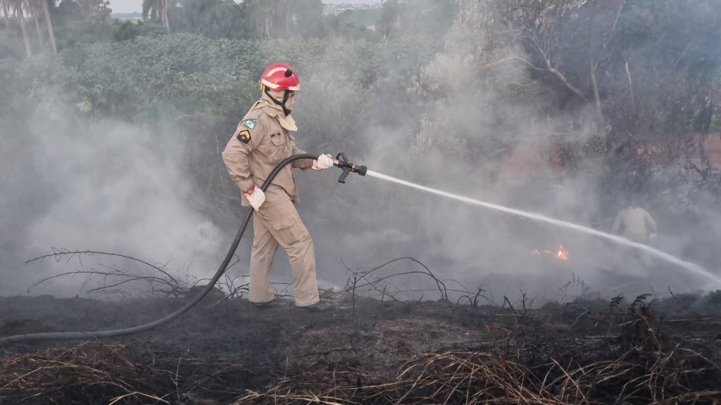 Corpo de Bombeiros contém incêndio às margens da BR-163 em Cascavel