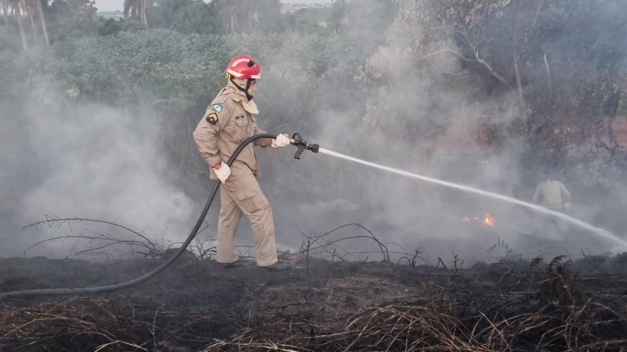 Corpo de Bombeiros contém incêndio às margens da BR-163 em Cascavel