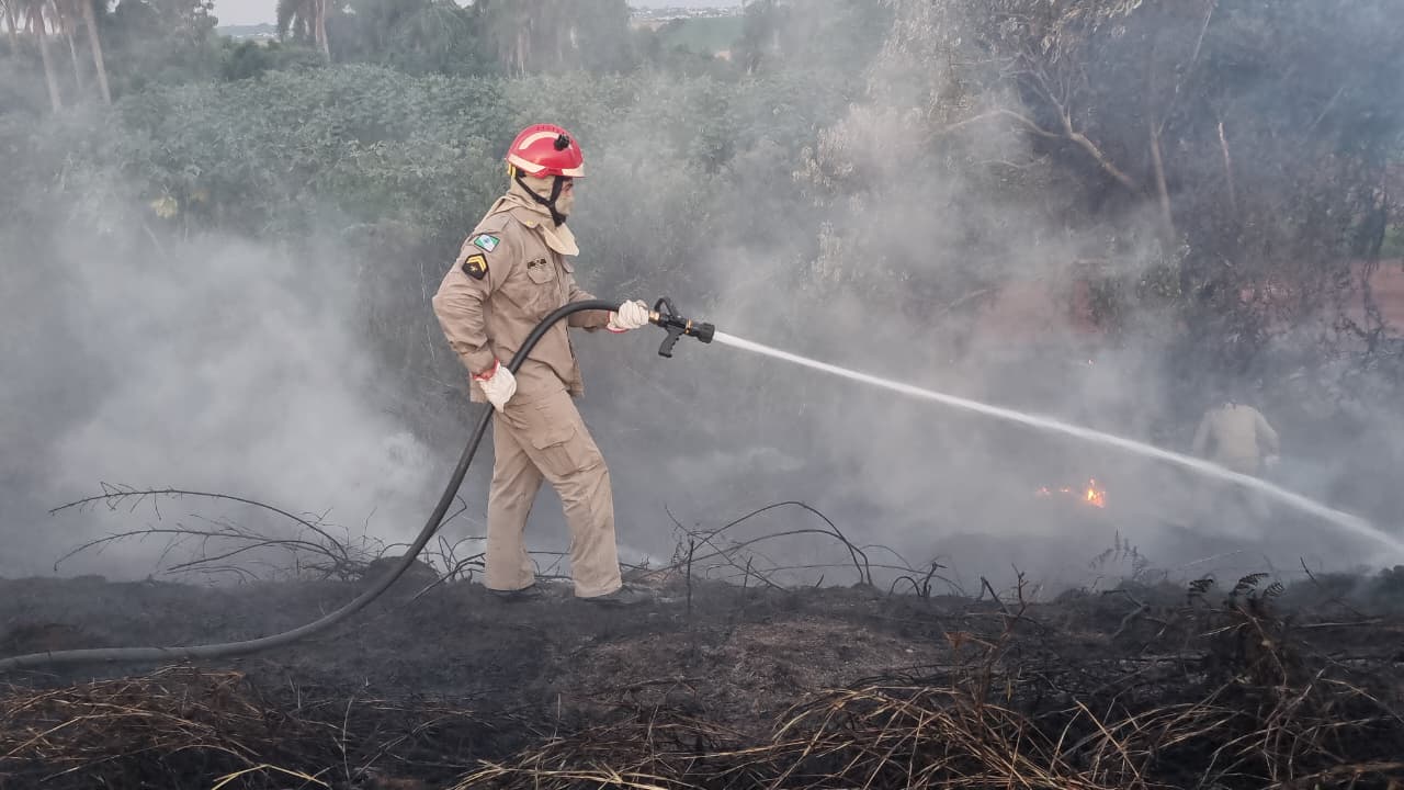 Corpo de Bombeiros contém incêndio às margens da BR-163 em Cascavel Corpo de Bombeiros contém incêndio às margens da BR-163 em Cascavel