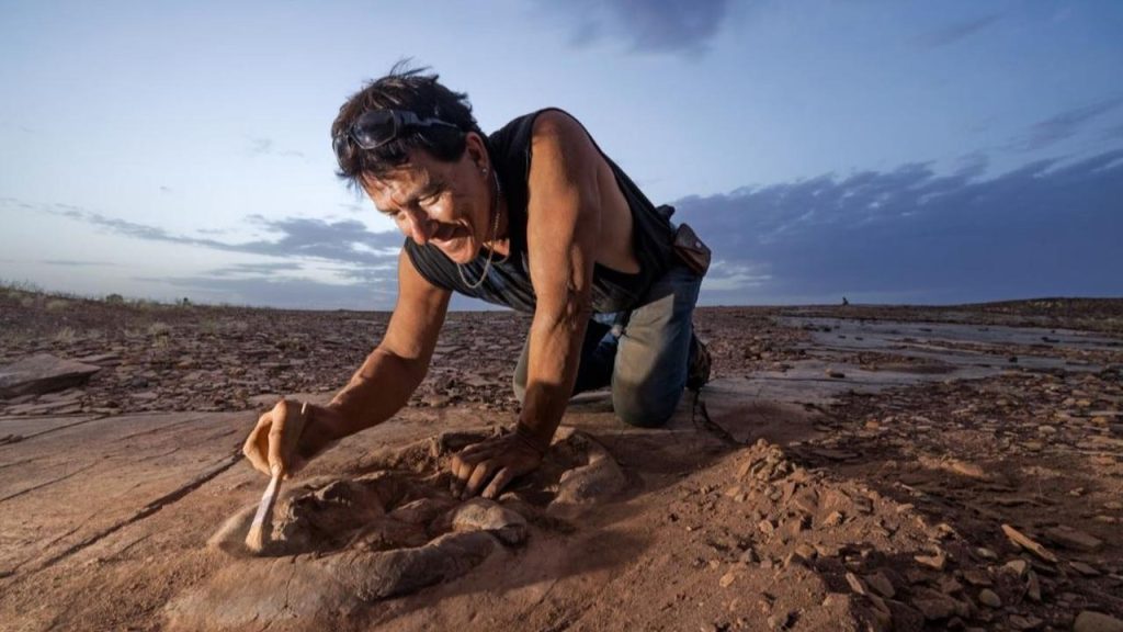 De dinossauros a plantas pré-históricas: o trabalho do paleontólogo em destaque