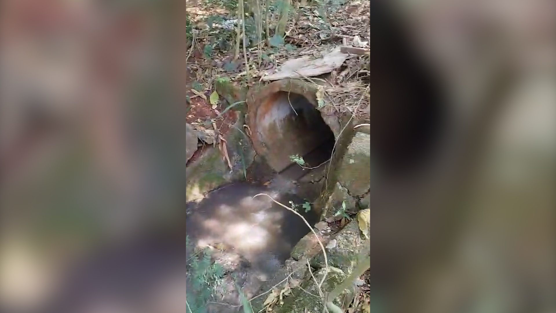 Denúncia: Moradores denunciam despejo de água com forte odor e cobram providências das autoridades
