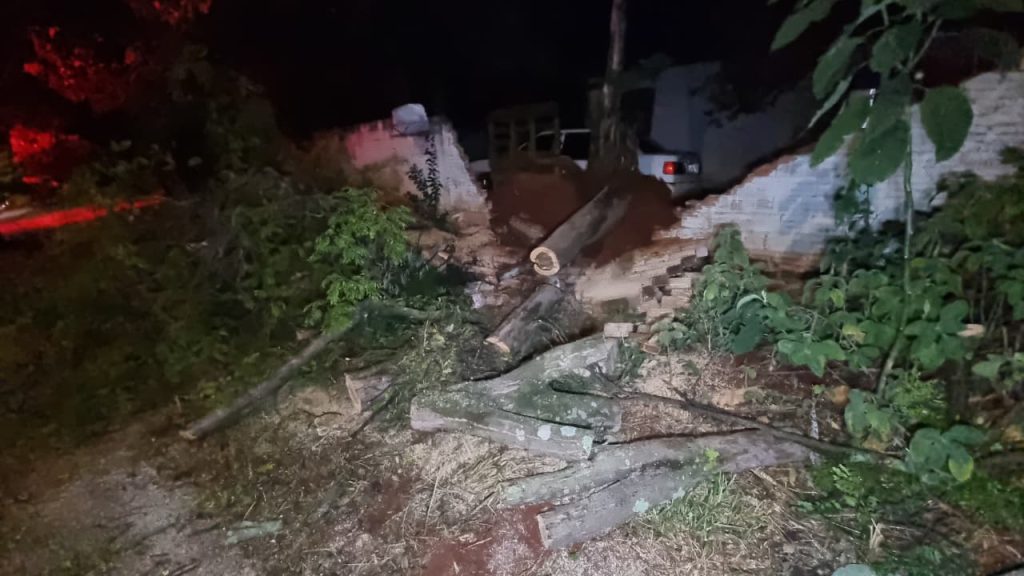 Árvore cai durante temporal, derruba muro e interdita cruzamento no Alto Alegre