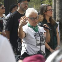 Imagem referente a Mulheres estão perdendo o direito de ir e vir, diz Amelinha Teles