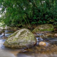 Imagem referente a Plano busca fortalecer Sistema Nacional do Meio Ambiente até 2036