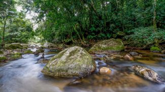 Plano busca fortalecer Sistema Nacional do Meio Ambiente até 2036