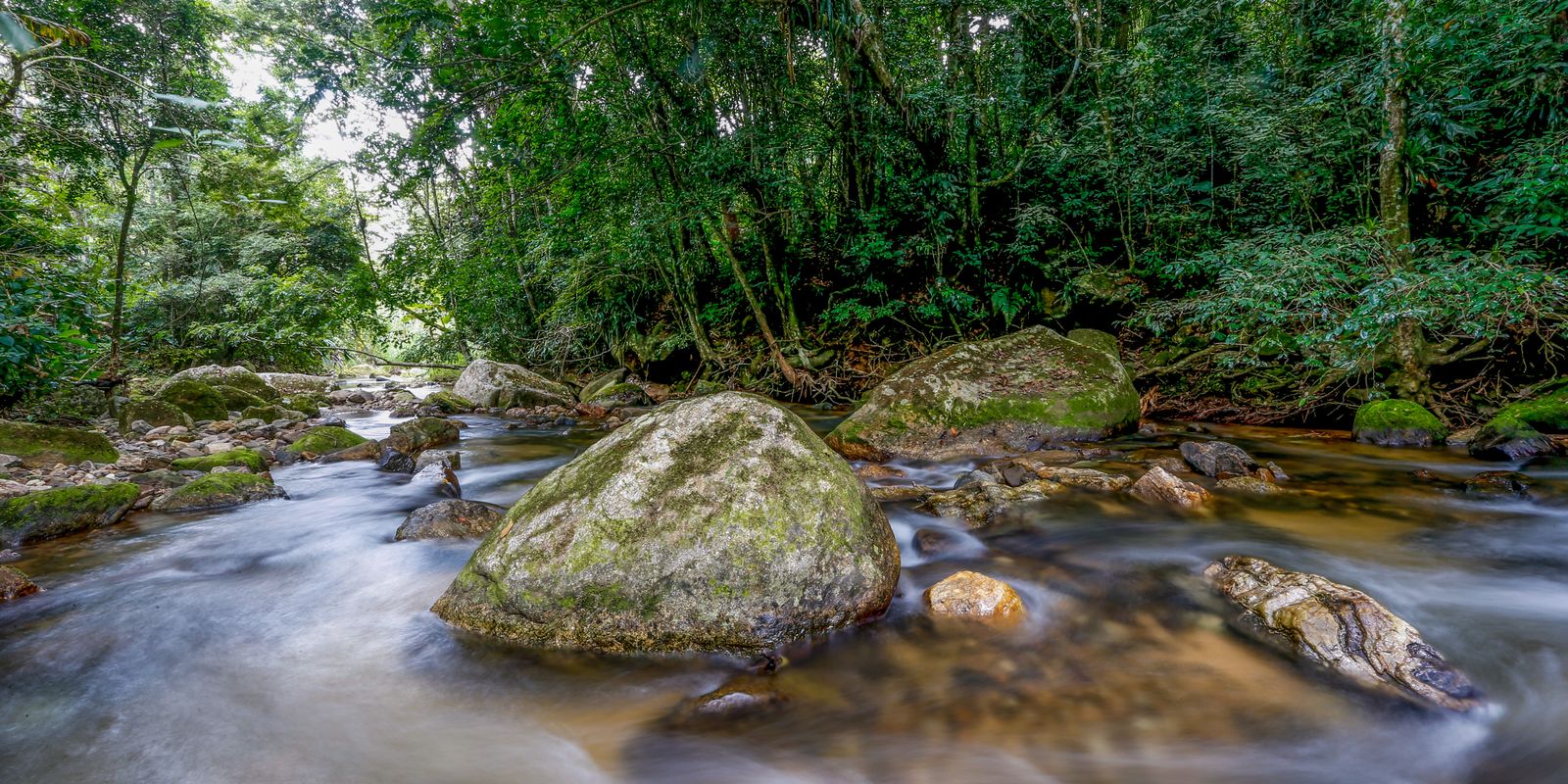 Plano busca fortalecer Sistema Nacional do Meio Ambiente até 2036 Plano busca fortalecer Sistema Nacional do Meio Ambiente até 2036