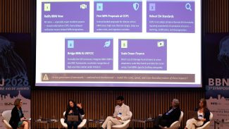 Efeitos da emergência climática no oceano preocupam pesquisadores Efeitos da emergência climática no oceano preocupam pesquisadores