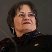 Imagem referente a Ataques a Maria da Penha tentam enfraquecer conquistas, diz Instituto