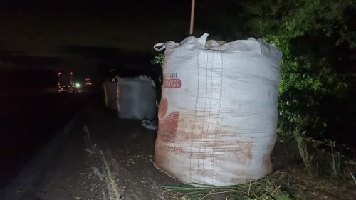 Após 36 horas de tombamento de carreta, soja começa ser removida de local de acidente na BR-163 Após 36 horas de tombamento de carreta, soja começa ser removida de local de acidente na BR-163