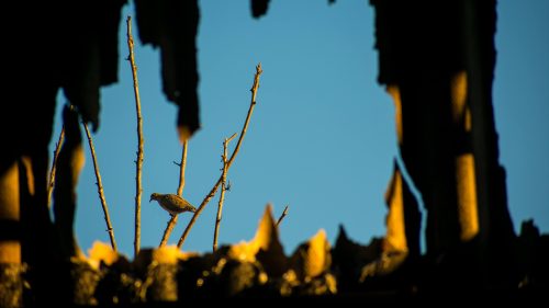 Se o tempo fosse música, quarta em Cascavel seria uma playlist dos The Eagles Se o tempo fosse música, quarta em Cascavel seria uma playlist dos The Eagles