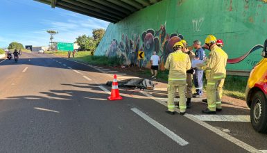 Imagem referente a Bombeiros são acionados mas vítima morre na PRc-467, em Cascavel