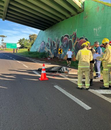 Imagem referente a Bombeiros são acionados mas vítima morre na PRc-467, em Cascavel