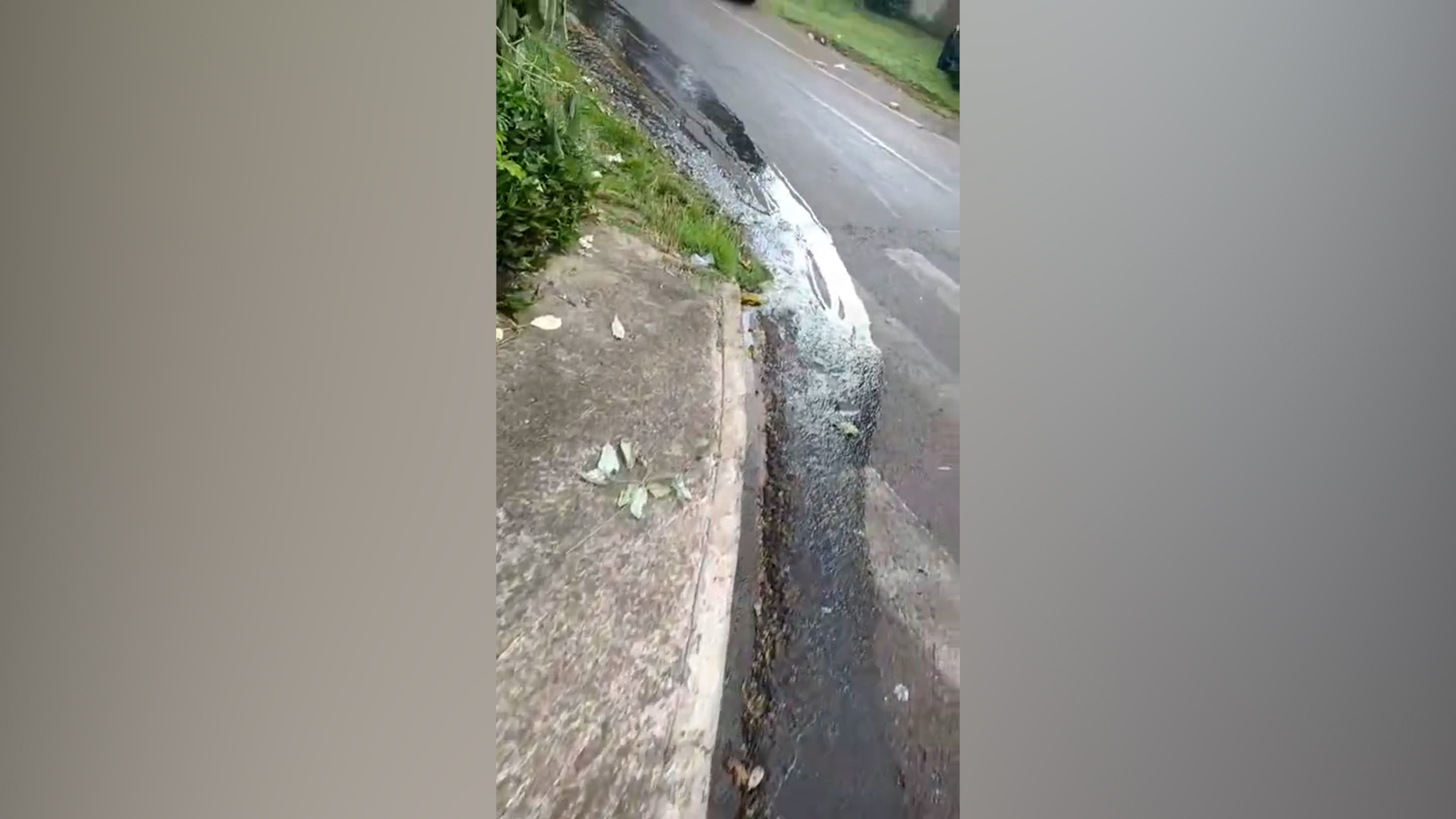 Cadê a Sanepar? Moradores de Cascavel reclamam de vazamento de esgoto "está muito fedido" Cadê a Sanepar? Moradores de Cascavel reclamam de vazamento de esgoto "está muito fedido"