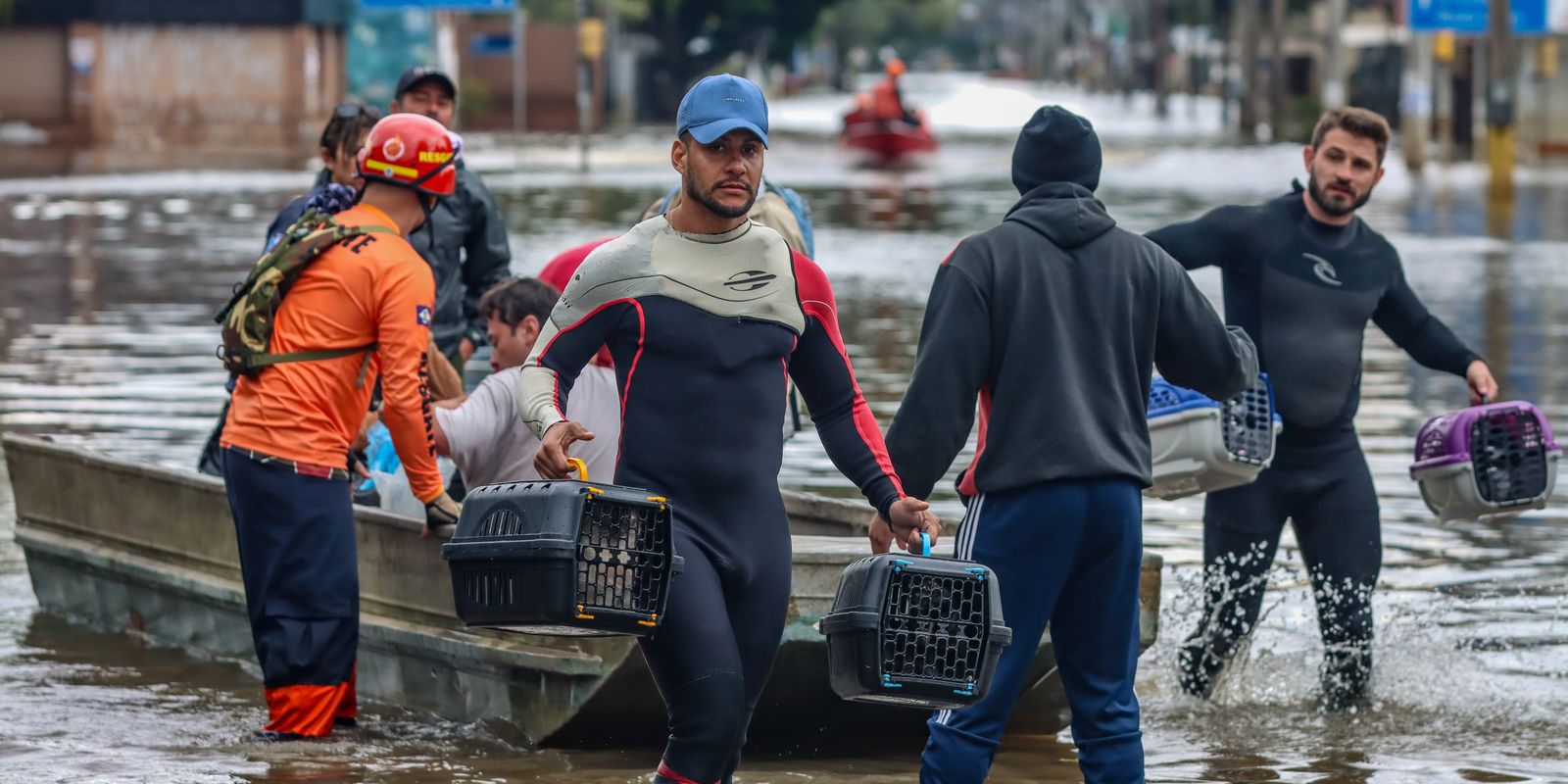 Lei cria Política de Acolhimento para animais resgatados em desastres Lei cria Política de Acolhimento para animais resgatados em desastres