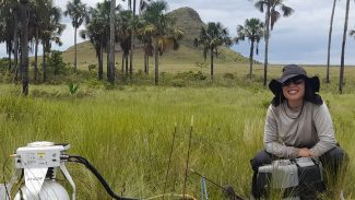 Estudo indica que Cerrado pode armazenar mais carbono que Amazônia