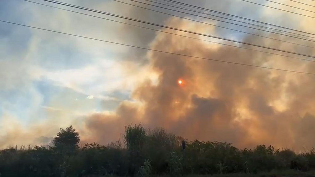 Grande incêndio em vegetação é registrado no 14 de Novembro
