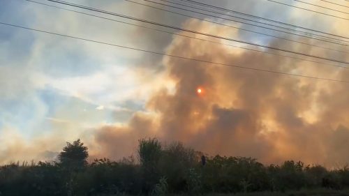 Grande incêndio em vegetação é registrado no 14 de Novembro