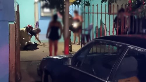 Chow Chow agressivo mobiliza Bombeiros no bairro Brasmadeira