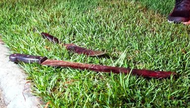 Discussão termina com homem gravemente ferido por golpes de facão no Coqueiral Imagem referente a Discussão termina com homem gravemente ferido por golpes de facão no Coqueiral