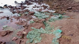 Rochas de plástico chegam a ninhos de tartarugas em ilha brasileira