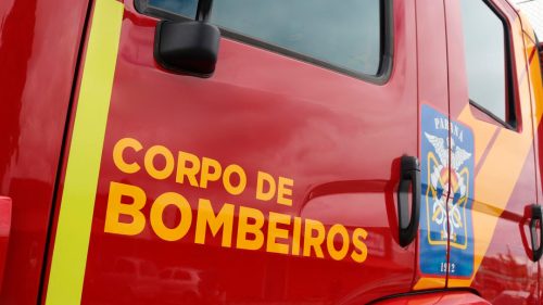 Homem de 65 anos morre após ser atacado por abelhas no interior de Toledo