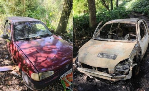 Carros incendiados são encontrados pela PM em mata de Almirante Tamandaré 