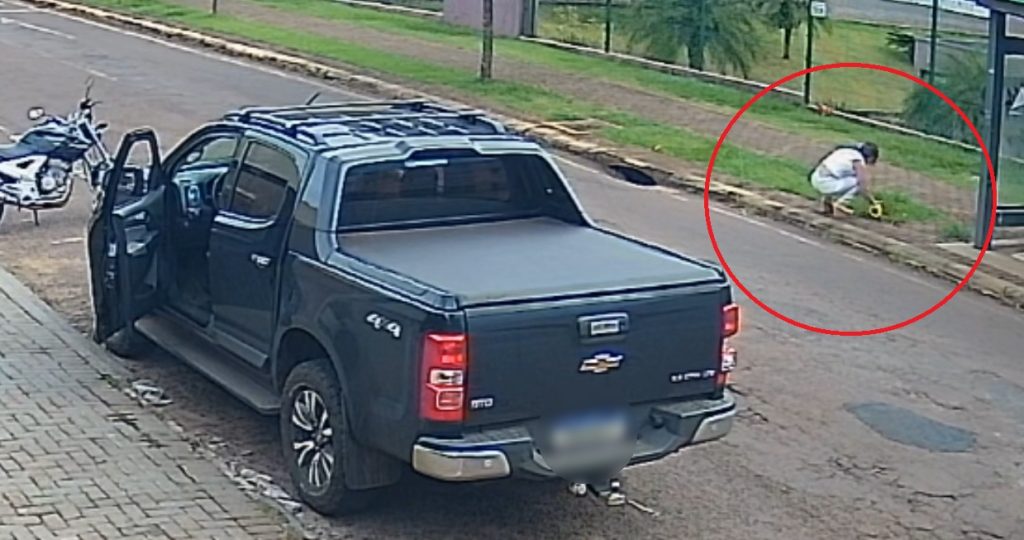Mulher é flagrada arrancando girassol no Parque Verde
