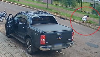 Imagem referente a Mulher é flagrada arrancando girassol no Parque Verde