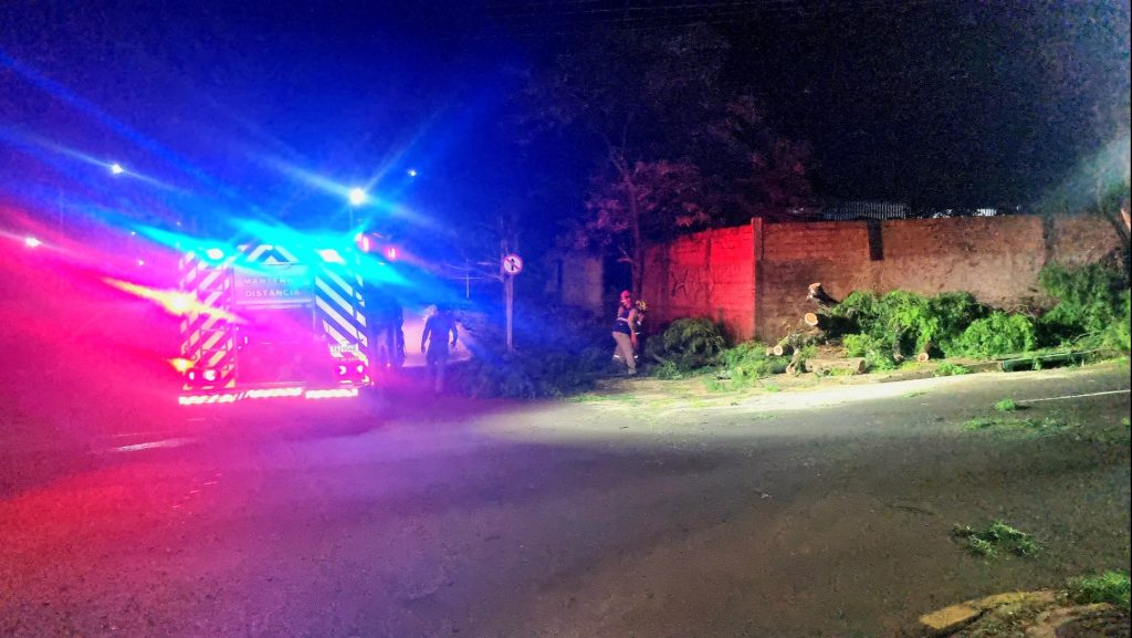Chorão cai em via pública e Corpo de Bombeiros realiza corte no Coqueiral