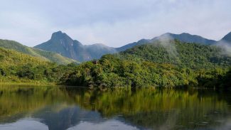 Qualidade dos rios da Mata Atlântica continua precária, aponta estudo
