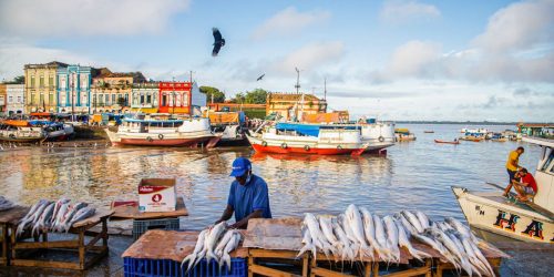 Peixes contaminados trazem riscos à saúde de ribeirinhos na Amazônia
