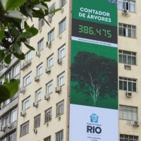 Rio lança painel para população acompanhar plantio de árvores Imagem referente a Rio lança painel para população acompanhar plantio de árvores