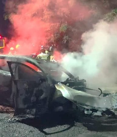 Motorista morre carbonizado após carro bater em árvore e pegar fogo em Cascavel Imagem referente a Motorista morre carbonizado após carro bater em árvore e pegar fogo em Cascavel