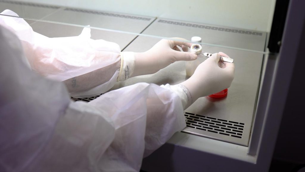 Com mais de 15 mil córneas captadas, Banco de Olhos de Cascavel completa 20 anos