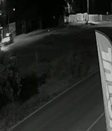 Vídeo mostra Volvo 'voando' na via e atingindo violentamente árvore; Jovem de 19 anos morre Imagem referente a Vídeo mostra Volvo 'voando' na via e atingindo violentamente árvore; Jovem de 19 anos morre