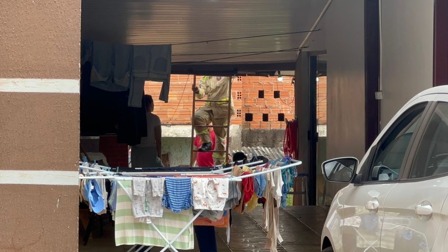 Bombeiros são acionados para capturar cobra em telhado de residência na Região do Lago