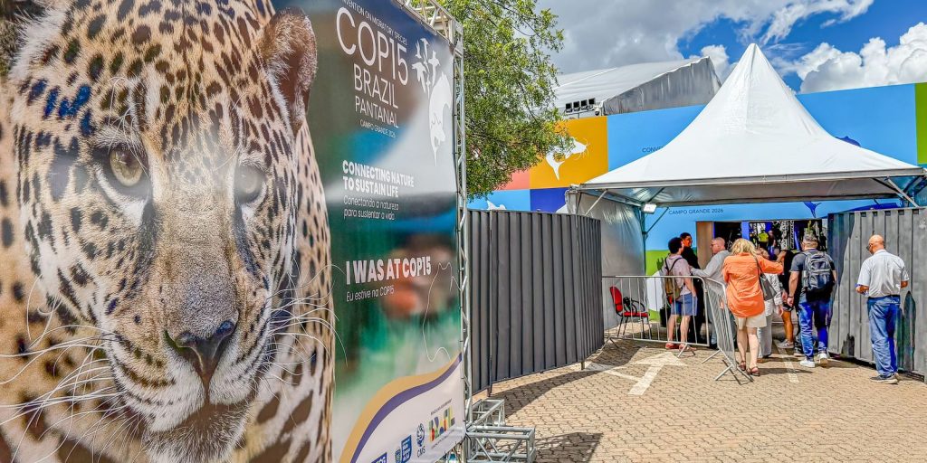 Brasil sedia encontro mundial sobre proteção de espécies migratórias