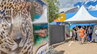 Brasil sedia encontro mundial sobre proteção de espécies migratórias