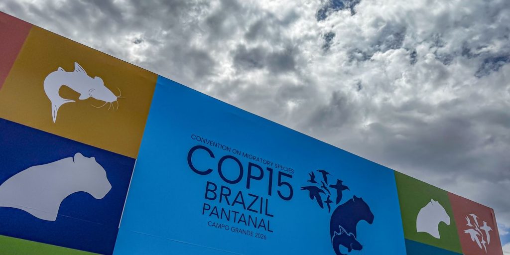 Cúpula de líderes orienta debates para COP15 em Campo Grande