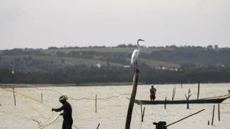 Sexto lote do seguro-defeso será disponibilizado na terça-feira
