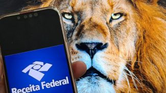 Imposto de renda: Receita já recebeu mais de 450 mil declarações