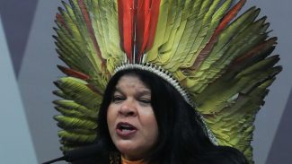 Sônia Guajajara apresenta melhoras, mas continua internada em SP